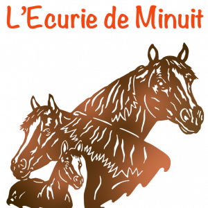 69 - L'Ecurie de Minuit