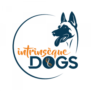 42 - Intrinsèque Dogs