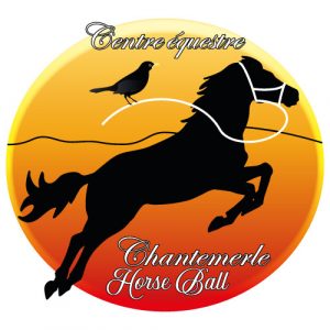 69 - Centre Equestre Chantemerle Horse Ball