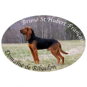 Domaine de Riboulon - Bruno St Hubert Français