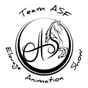 43 - Team ASF